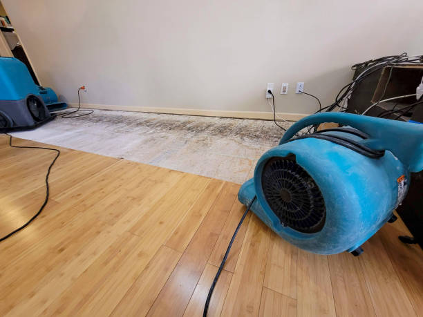 Professional Sewage Cleanup technician working in Ferndale, MI
